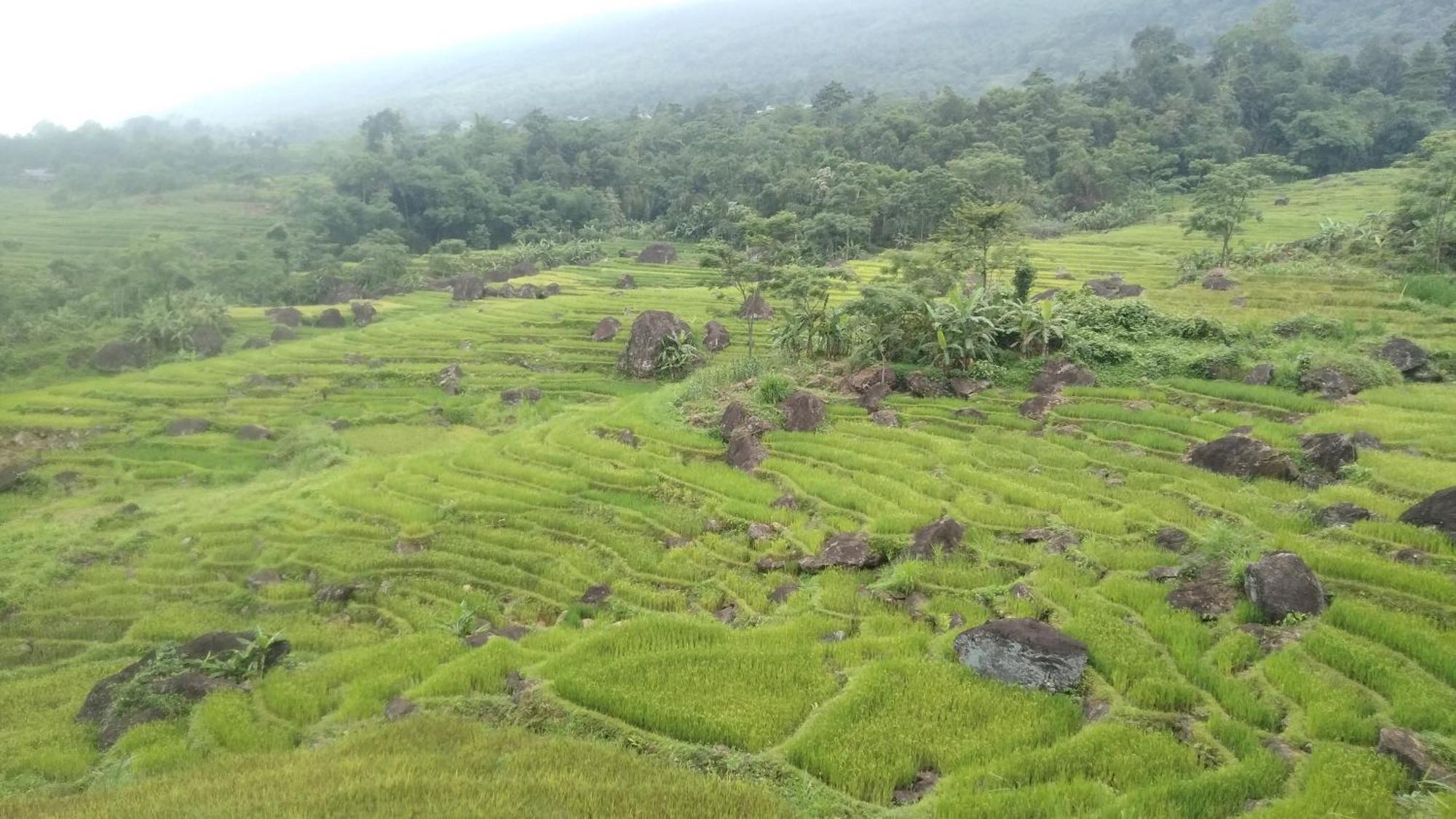 Bed and Breakfast Puluong Aroma Huong Ba Thuoc Экстерьер фото